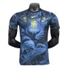 Officiële Voetbalshirt Brazilië Special 2024-25 - Heren